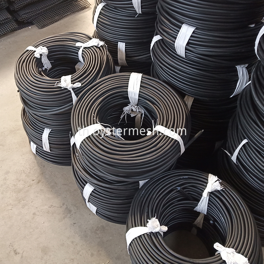 สายพายุ Storm Line